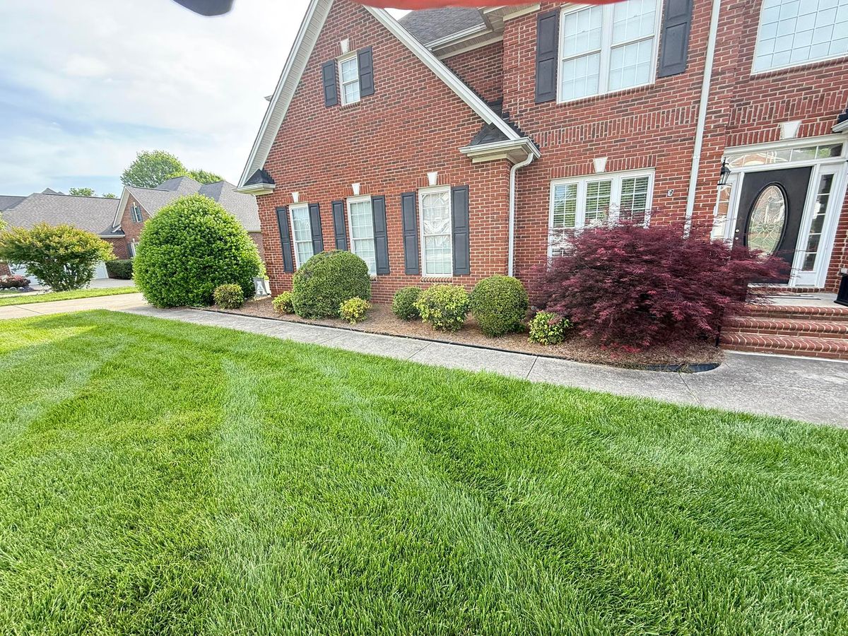 Tree services, hedge trimming, and flower services for Massey Landscapings in Gastonia, NC