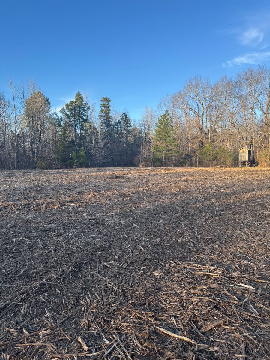 Forestry Mulching for Simmons land works in Sardis,, TN