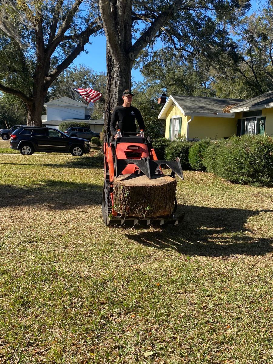Stump Removal for Top Notch Tree Experts in Orange Park, FL