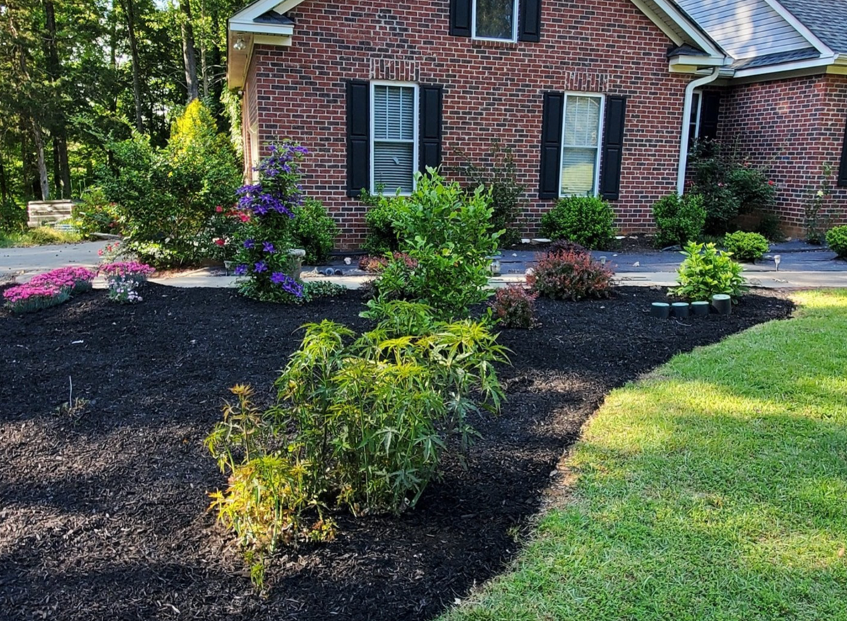 Mulch Installation for Muddy Paws Landscaping in Blythewood, SC