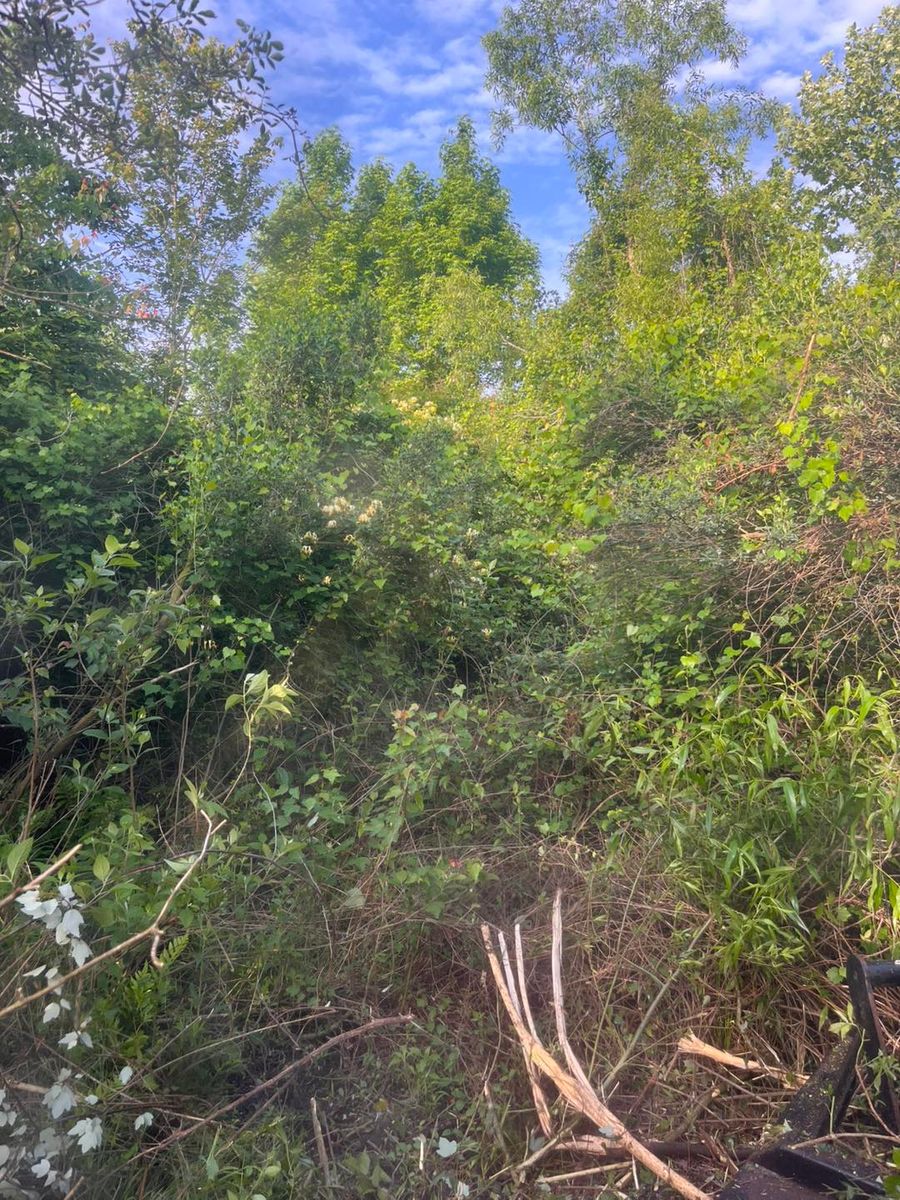 Stump Grinding and Removal for Pinewood Land Management LLC in Nashville, GA