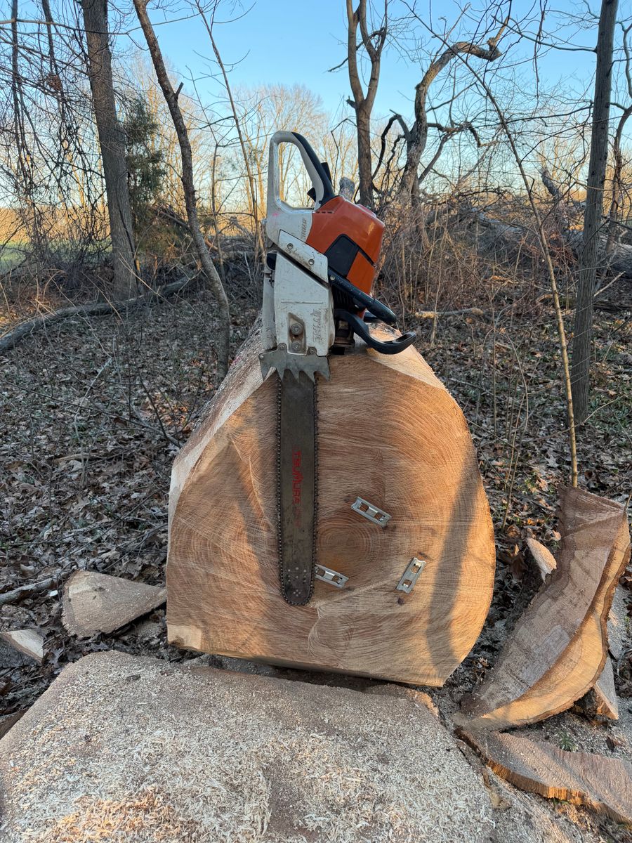 Logging for Kadin’s Tree Service in North Vernon, IN
