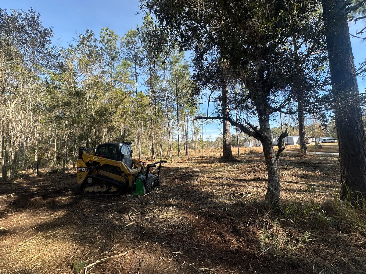 Land Clearing & Demolition for Platinum Construction llc in Pearl River, MS