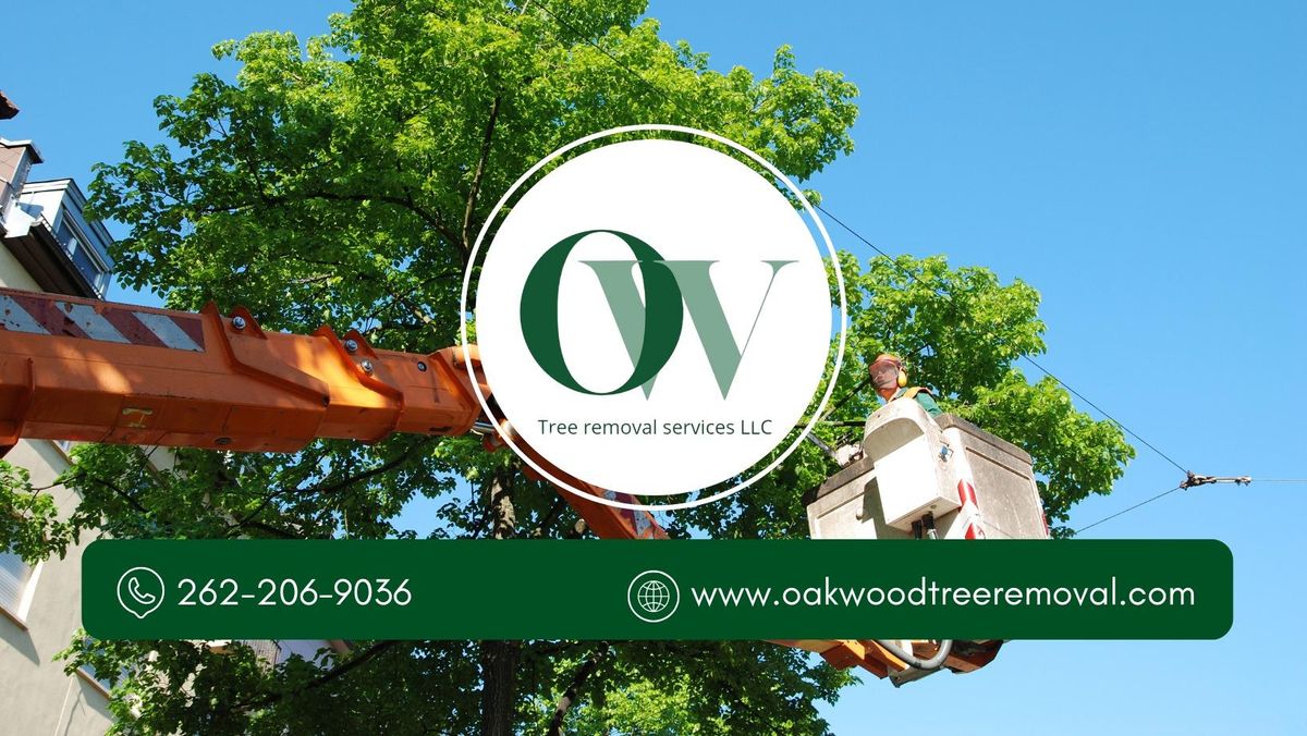 Tree Trimming for Oakwood Tree Removal LLC in Oak Creek,  WI