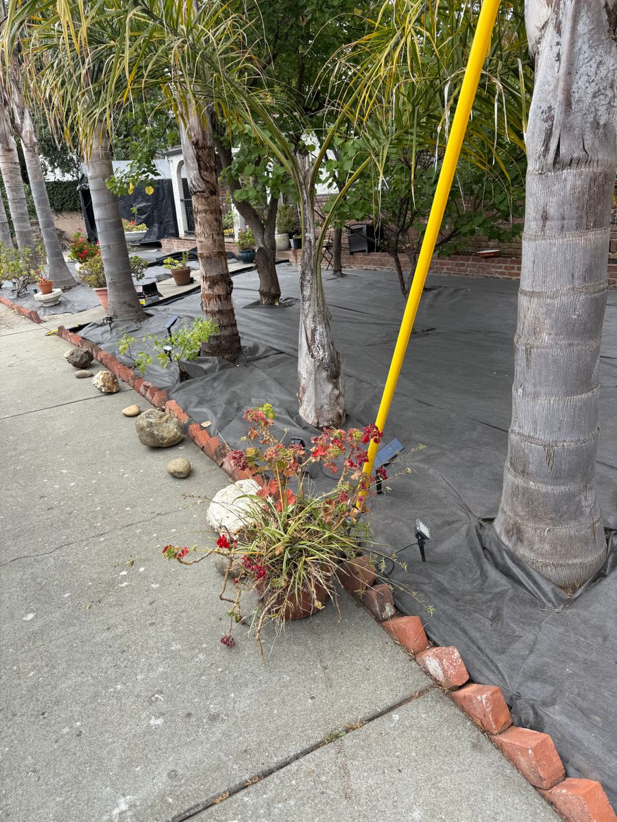 Shrub Trimming for CBA Landscaping in Hayward, CA