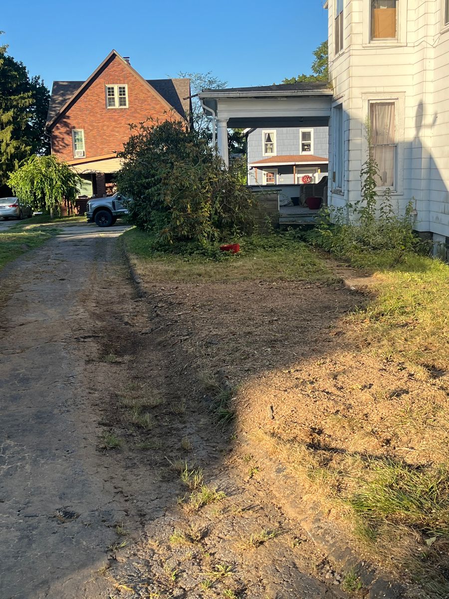 Stump Removal for J&E Tree & Excavation Services in Sandy, PA