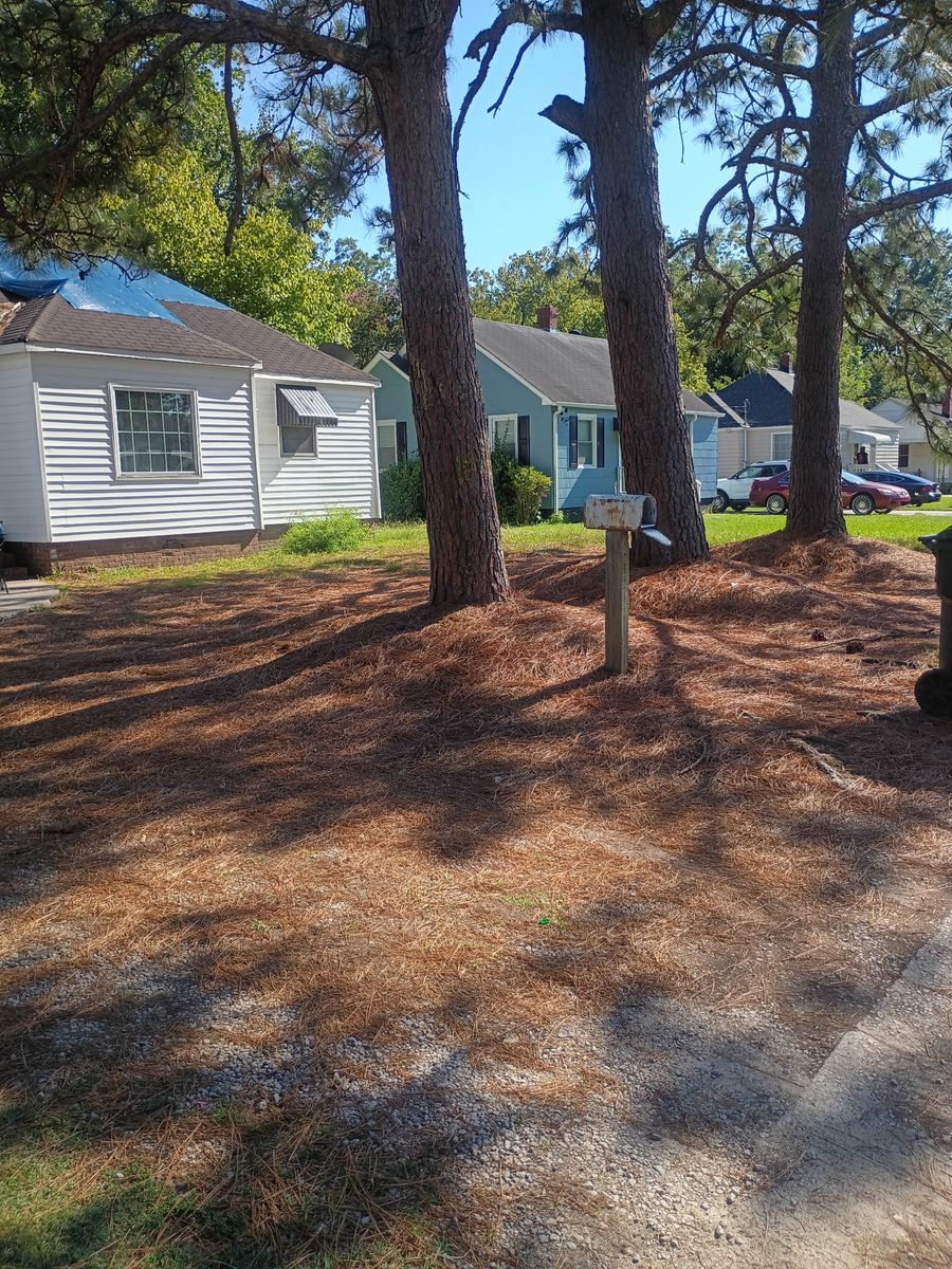 Mulch Installation for Brothers On Point Lawn And Junk Removal in Wilson, NC
