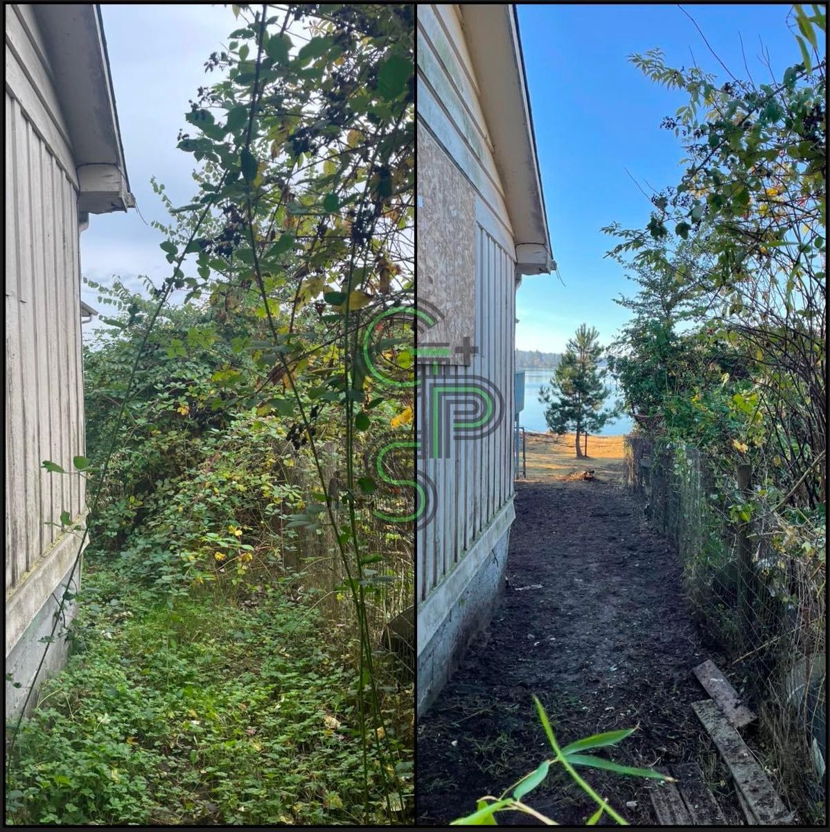 Brush Clearing - Bramble Clearing - Blackberry Clearing for Golovin Property Services LLC in Marysville, WA