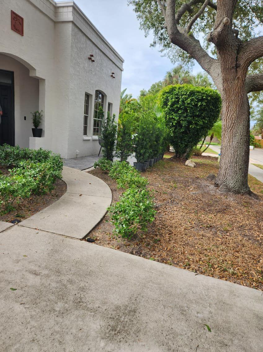 Land Clearing for Nick of Time Tree Service in North Port, FL