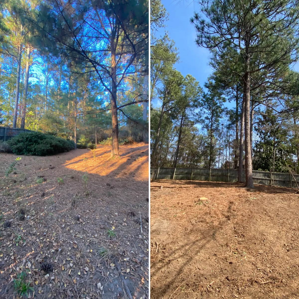 Land Clearing, Grading & Site Work for Four Seasons Property Care in Aiken, SC