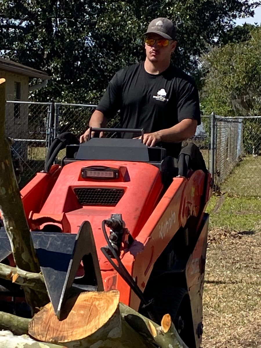 Stump Removal for Top Notch Tree Experts in Orange Park, FL
