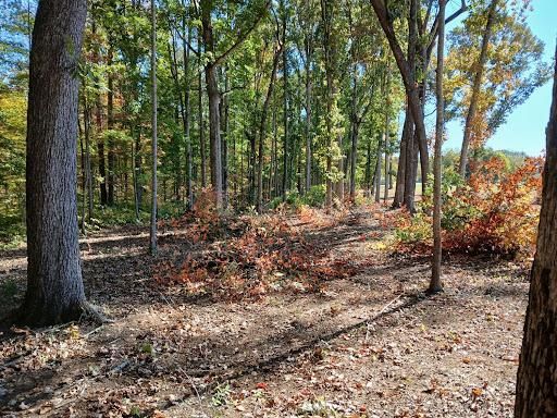 Land Clearing for Whiskey Ridge Mulching & Land Services in South Boston, VA