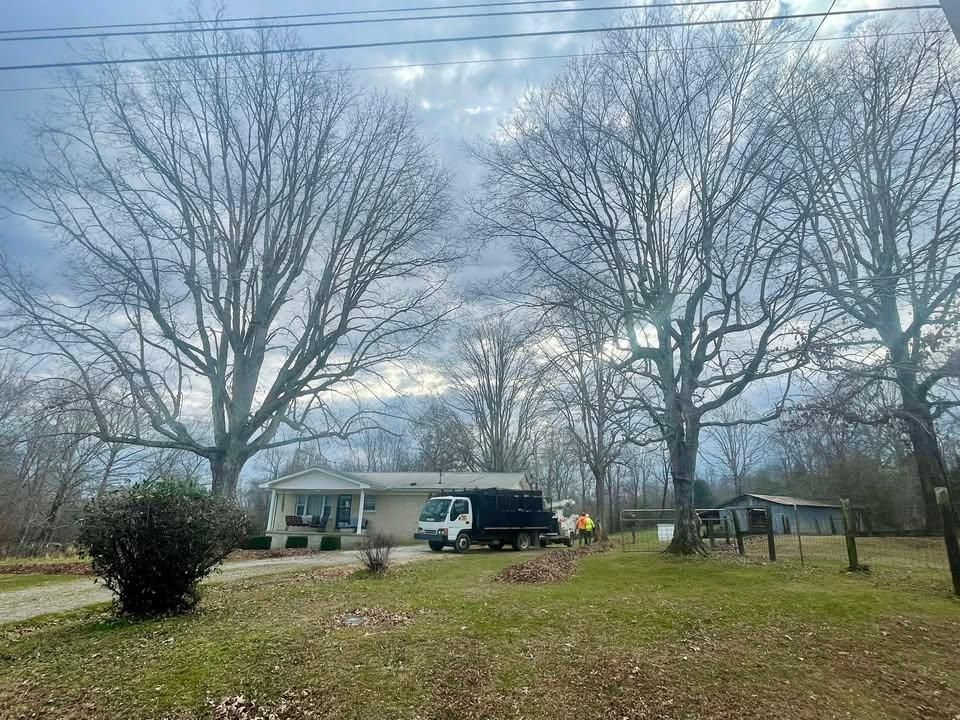 Tree Removal for Ross Family Tree Service LLC  in Hohenwald, TN