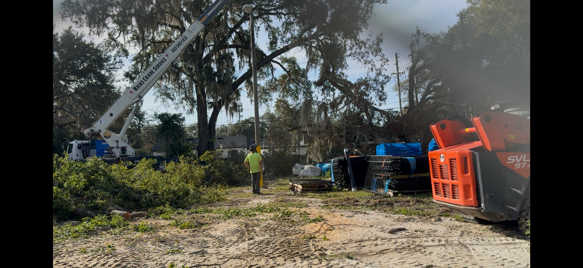 Land Clearing for Amerigrown Tree And Lawn in Apopka, FL