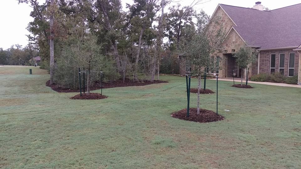 Lawn Maintenance for Brazos Valley Greenscapes in College Station, TX