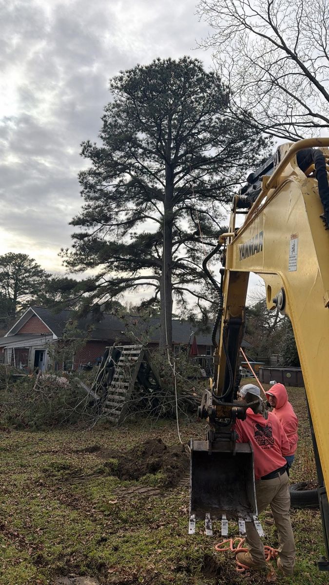 Tree Removal for Tidewater Tree Service in Chesapeake, VA