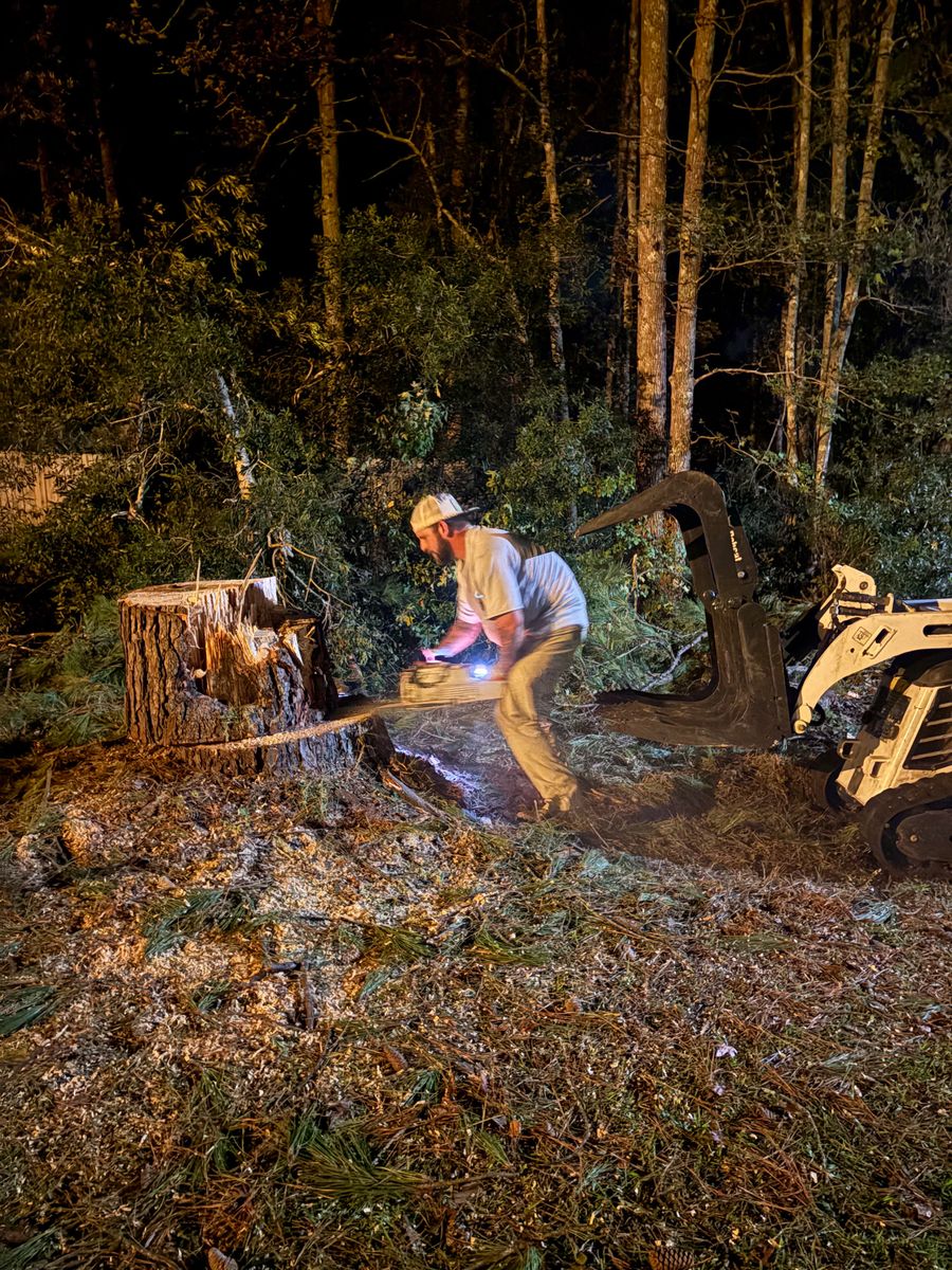Stump Removal for Hawkins Tree Service & Land Management in Richmond Hill, GA