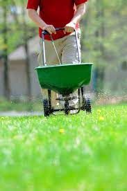 Other Lawn Services for Grass Is Greener Lawn Care in Nashua, NH