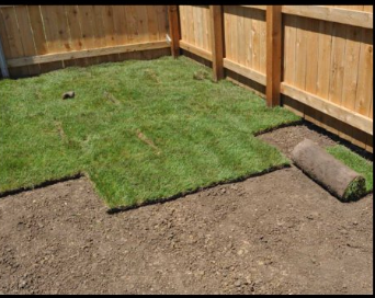 Landscaping for The Outdoor Buddies in Houston, TX