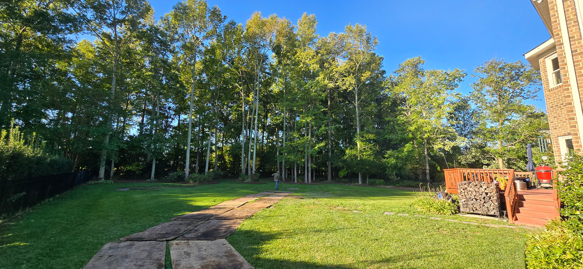 tree service for Beach Tree Care in Virginia Beach, VA