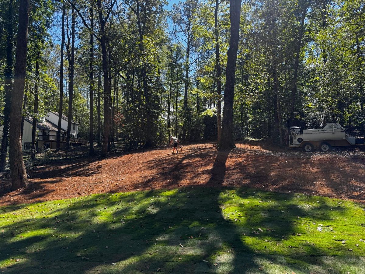 Fence Line Clearing for Deeply Rooted Lawns – Hydroseeding & Sod Installation Services in Winder, GA