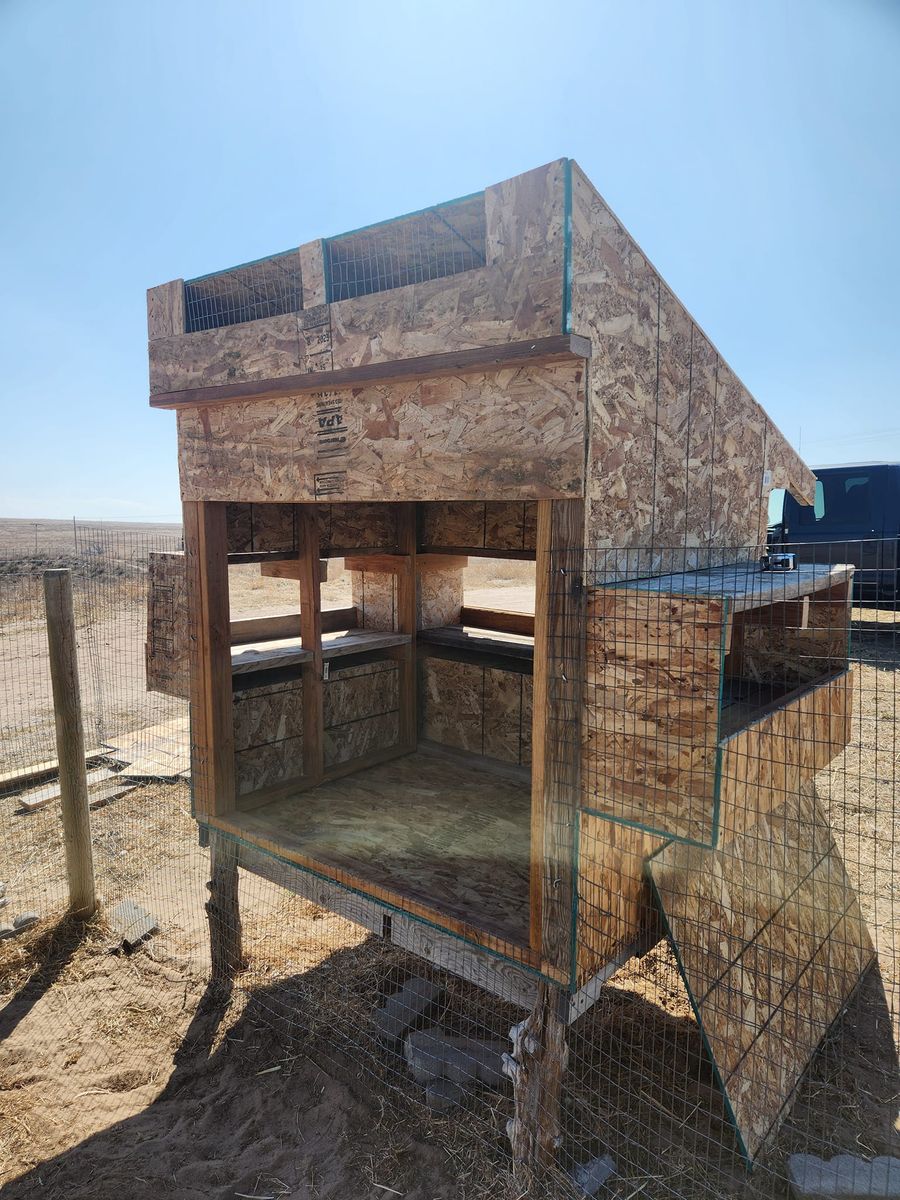 Custom Chicken Coops for M&N Fencing in Northeast Colorado, CO