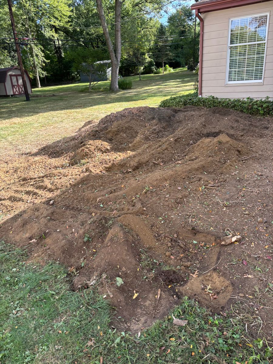 Stump Removal for Dean's Stump Removal in Youngstown, OH