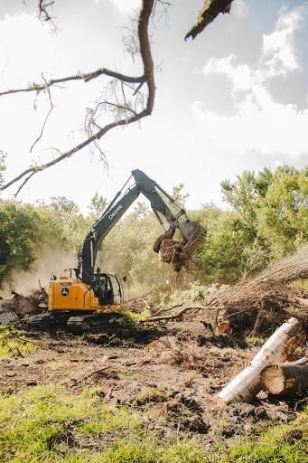 Tree Trimming / Removal for Parker Land Services in Lakeland, FL