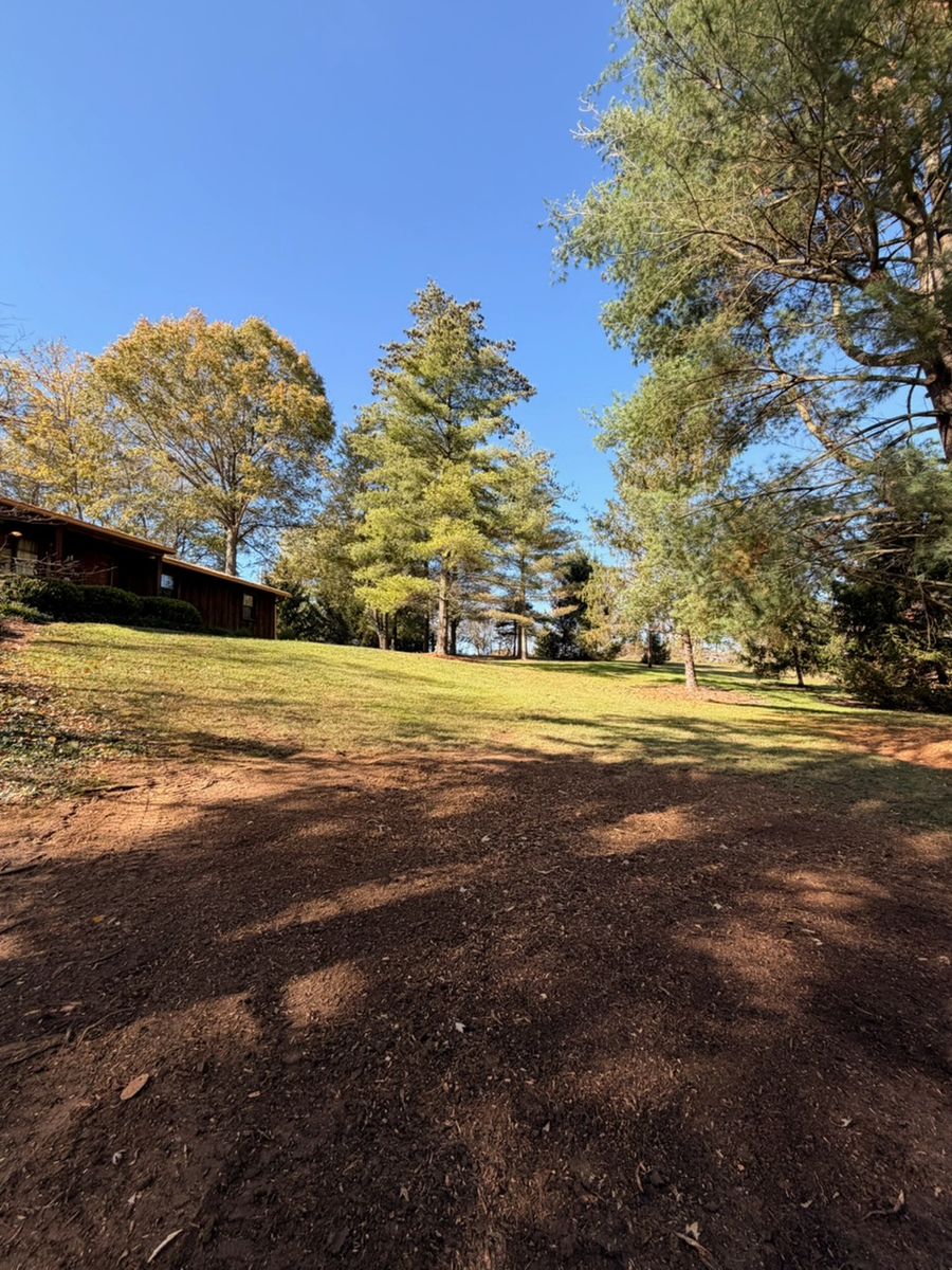 Tree Removal for Anstaetts Tree Service in Batavia, OH