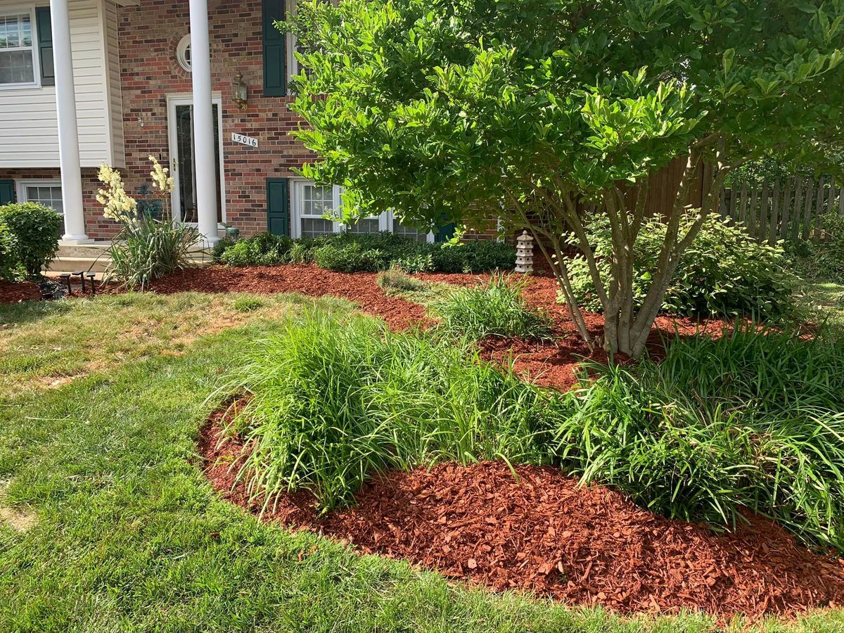 Mulch Installation for Branch Out Tree Care LLC in Fredericksburg, VA