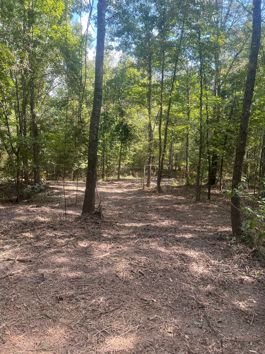 Forestry Mulching for 903 Mulching in East Mountain, TX