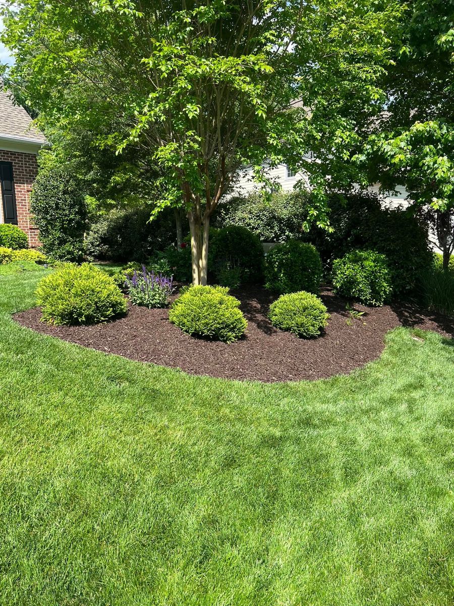 Mulch Installation for KP Landscaping in Williamsburg, VA