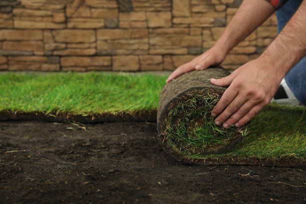 Turf installation for Louisville Earth Movers in Crestwood, KY