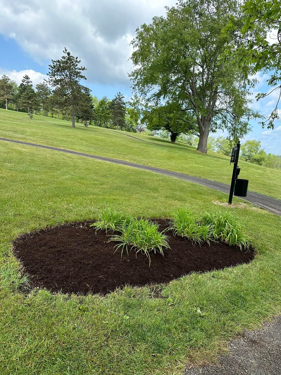 Lawn Aeration for Lopez Landscaping and Hardscapes in Scranton, PA