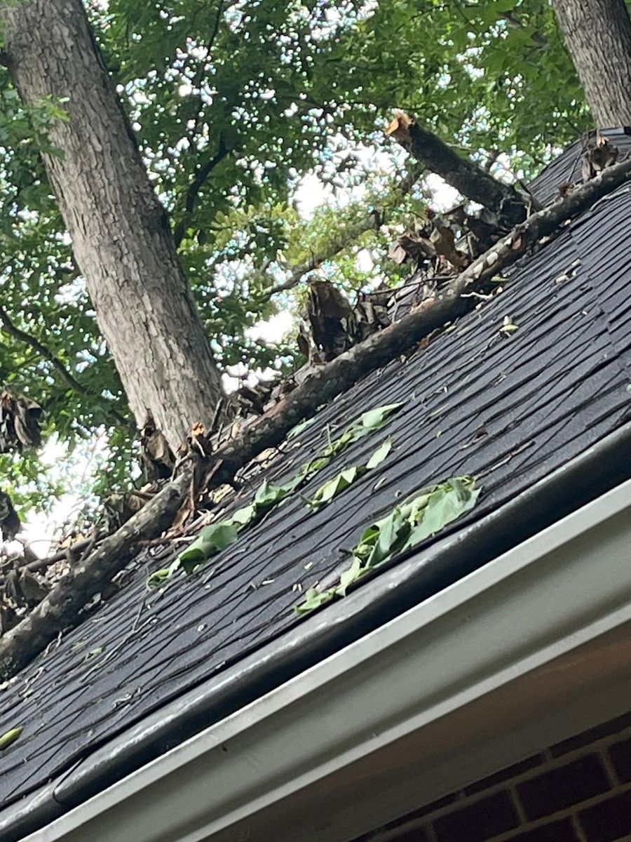 Tree Damage Insurance Claims for Bulldawg Disaster Response in Atlanta, GA