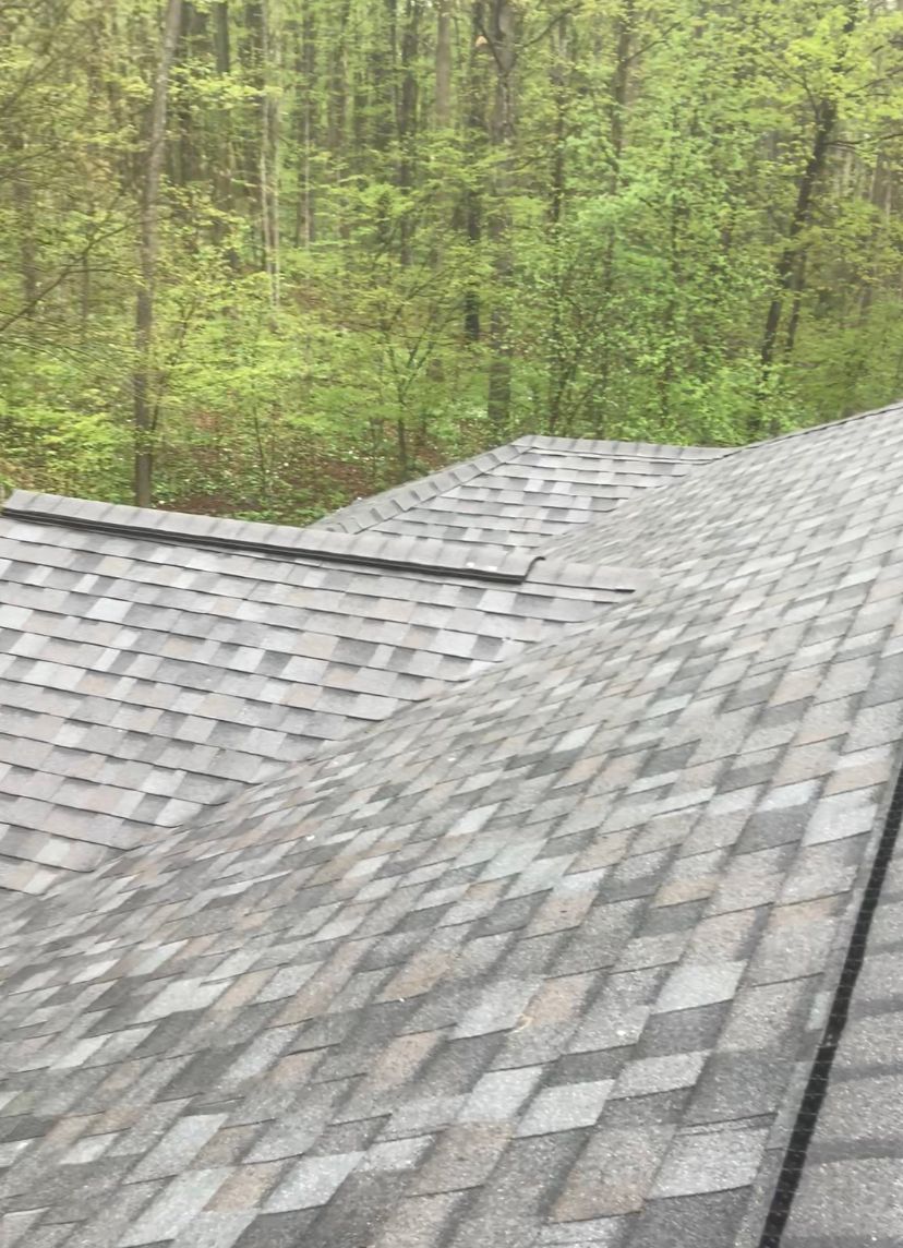 Ashphalt Roofing for Drywall Roofing Flooring  in Langlade County, Wisconsin