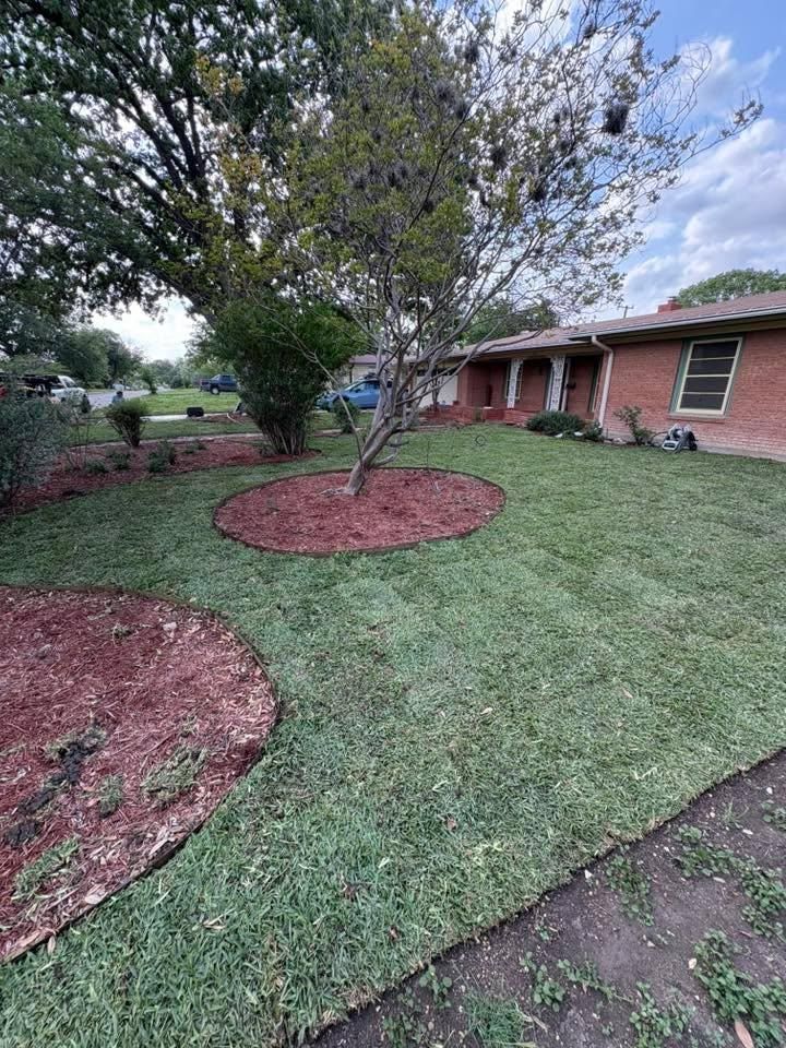 Sod & Seed installs for Bad Axe Landscapes LLC in Blanco, TX