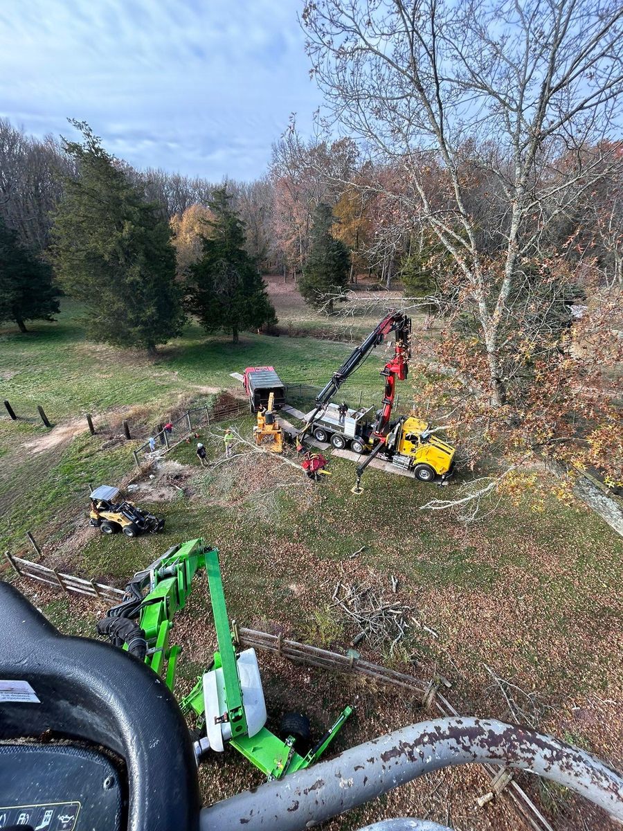 Tree Trimming for Hingewood Tree Service in Salem, NJ
