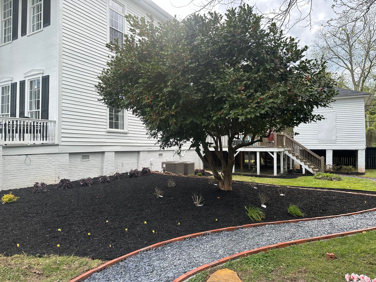 Pinestraw/Mulch installation for Hedgecraft Landscaping LLC in Senoia, GA