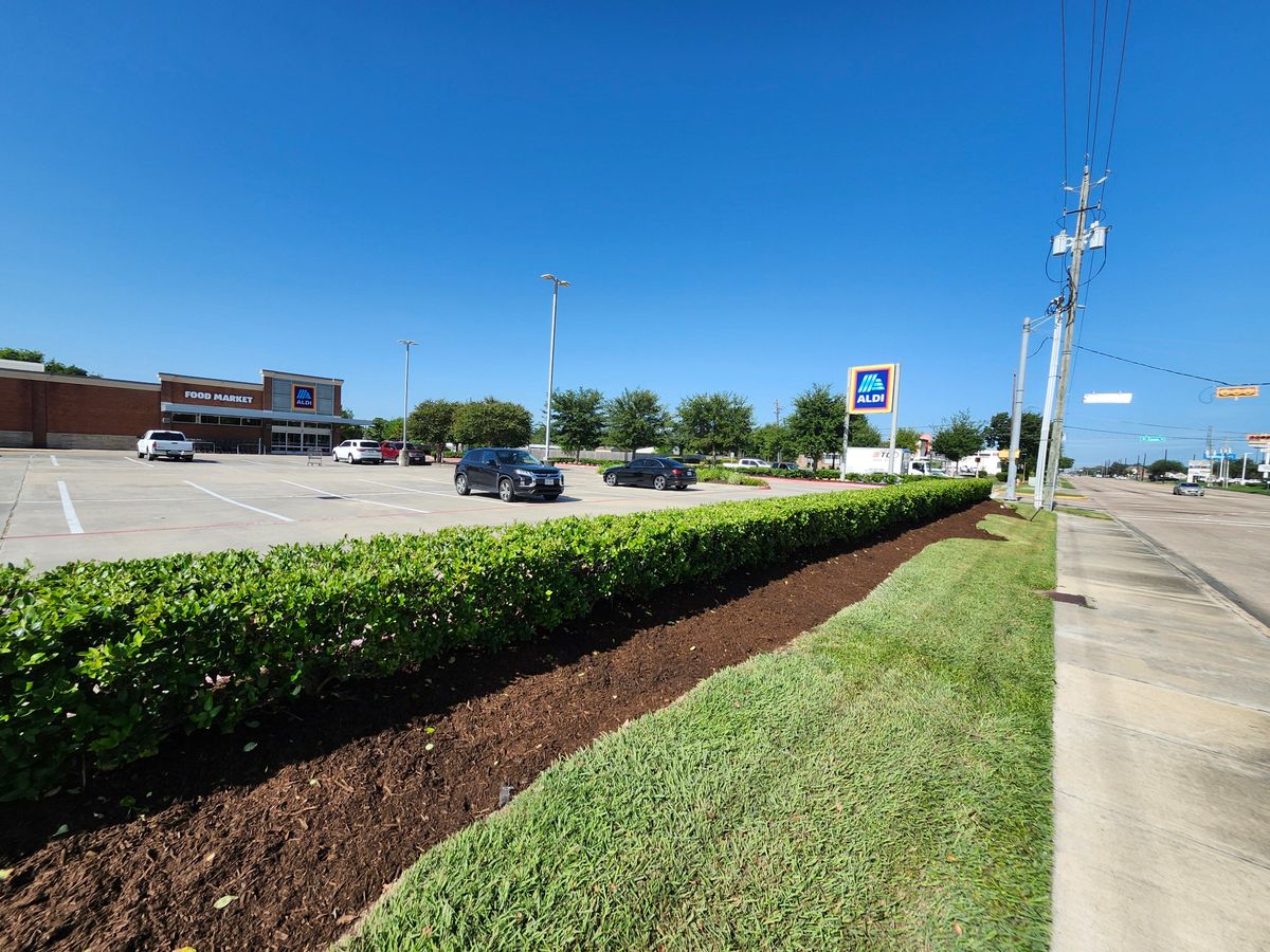 Trimming for Bonita Bay Lawn Maintenance LLC in La Porte, TX