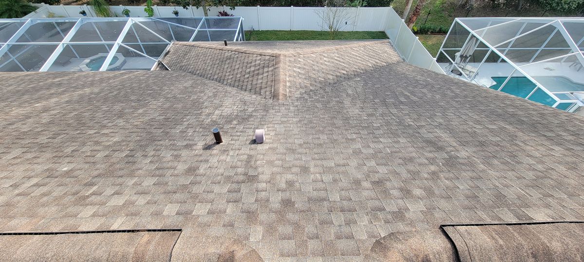 Shingle Roof Cleaning for Blue Stream Roof Cleaning & Pressure Washing in Tampa, FL