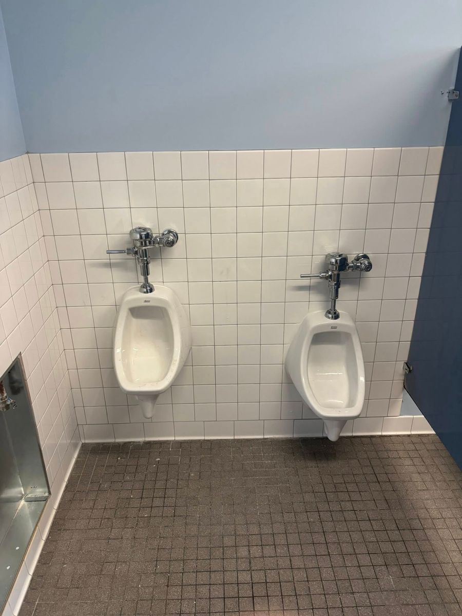 Toilet Repairs and Installation for Avanzi Plumbing in Millington, TN