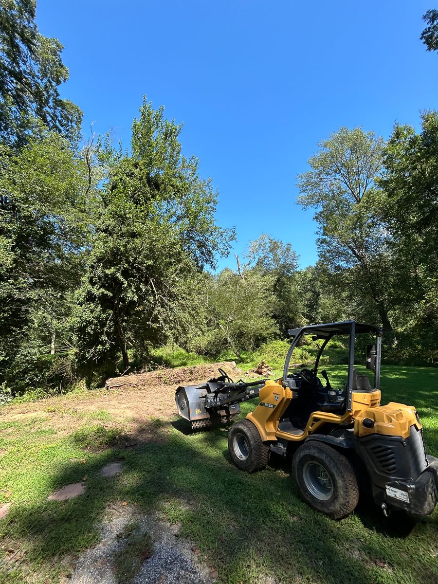 Tree Removal for Hingewood Tree Service in Salem, NJ