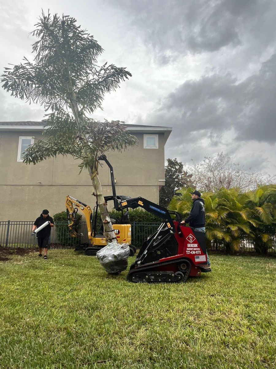 Demolition for Shoreside Property Services in Apollo Beach, FL