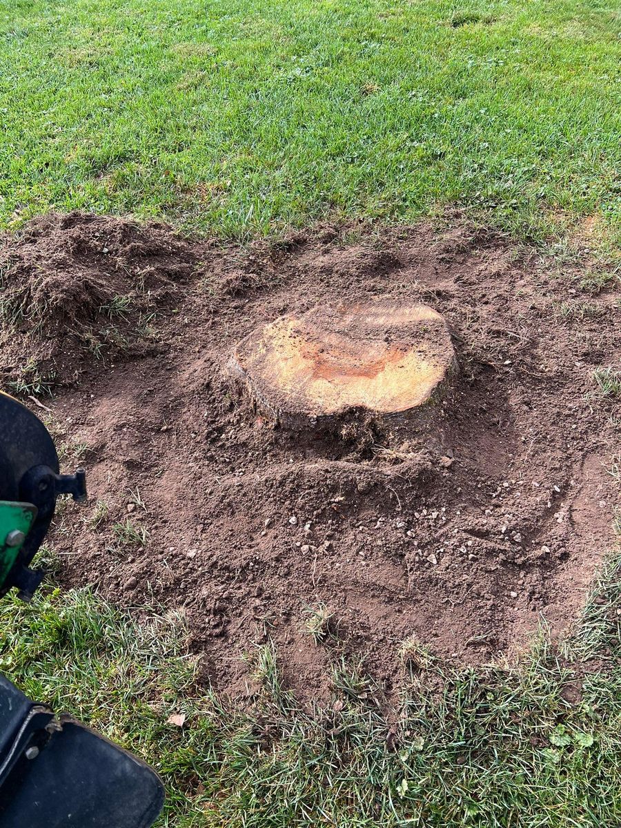 Shrub Trimming for Lopez Landscaping and Hardscapes in Scranton, PA