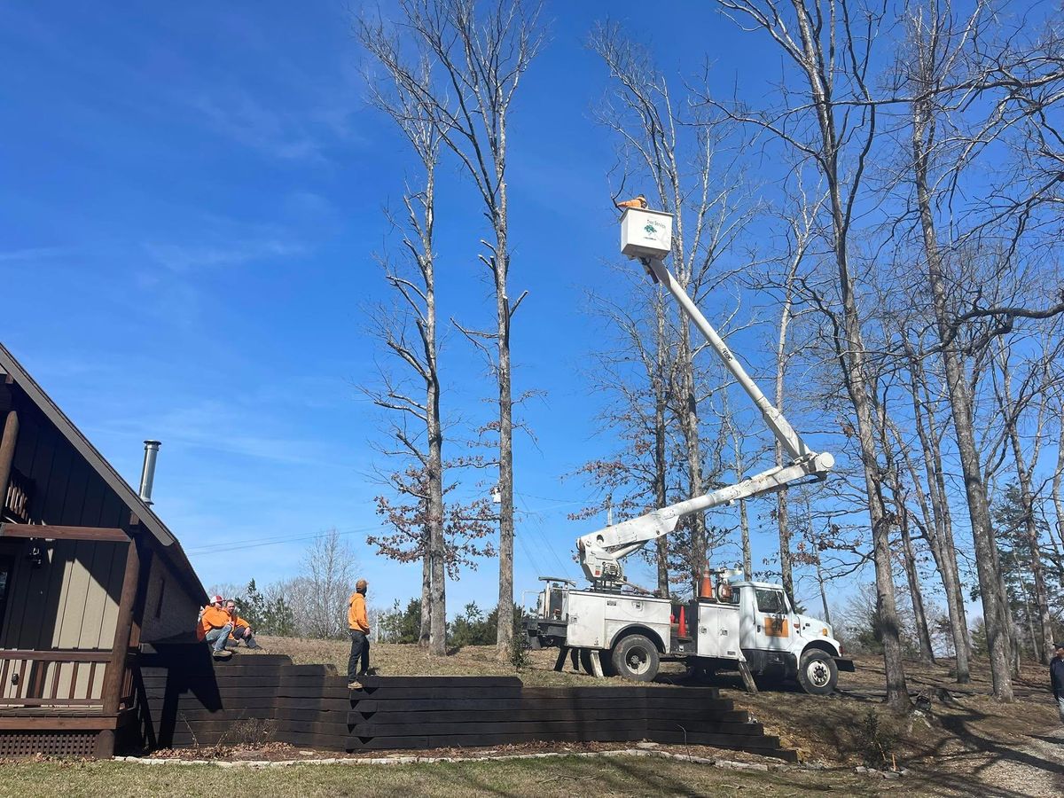 Tree Removal for Ross Family Tree Service LLC  in Hohenwald, TN