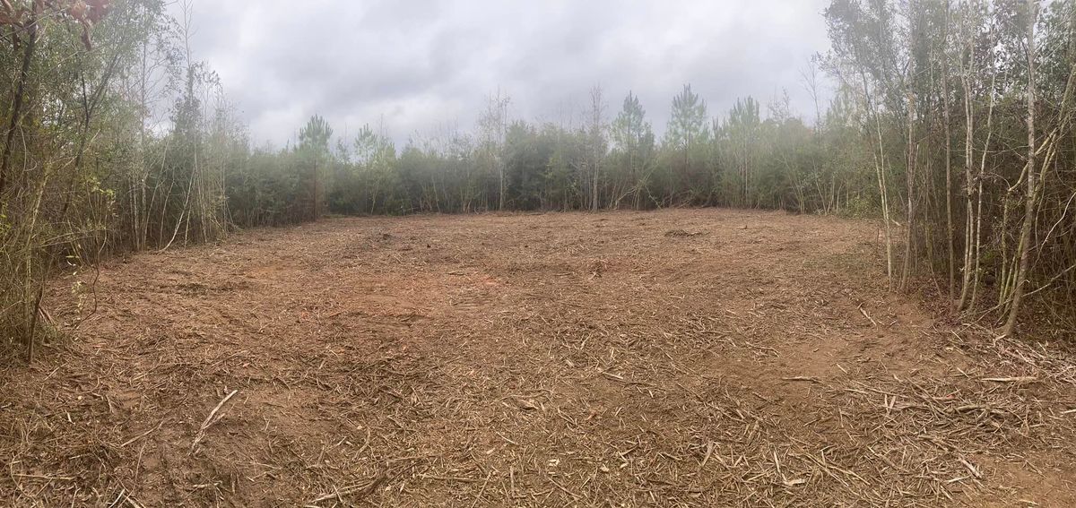 Land Clearing for South Mississippi Land Management LLC in Columbia, Mississippi