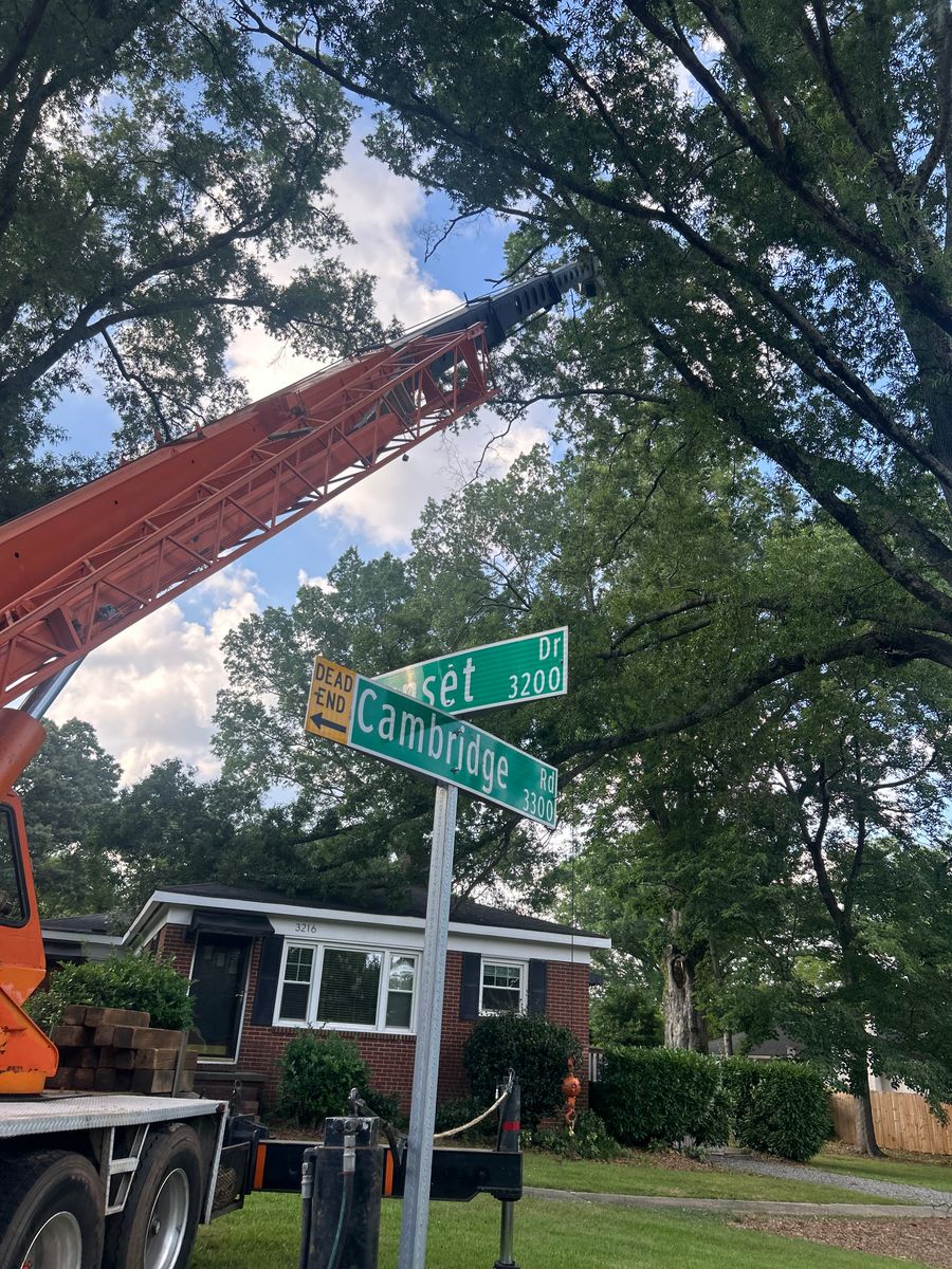Tree Trimming for Oakhurst Landscaping and Tree Service in Charlotte, NC
