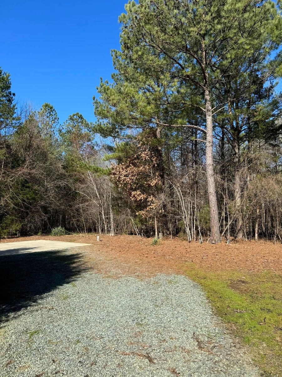 Fall Clean Up for Lovingood Landscape in Pittsboro, NC
