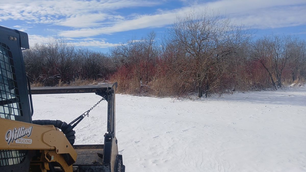 Tree Removal for Willing Trucking & Excavating in Evansville, WI
